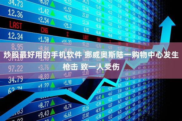 炒股最好用的手机软件 挪威奥斯陆一购物中心发生枪击 致一人受伤