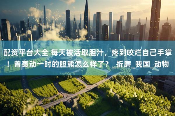 配资平台大全 每天被活取胆汁，疼到咬烂自己手掌！曾轰动一时的胆熊怎么样了？_折磨_我国_动物